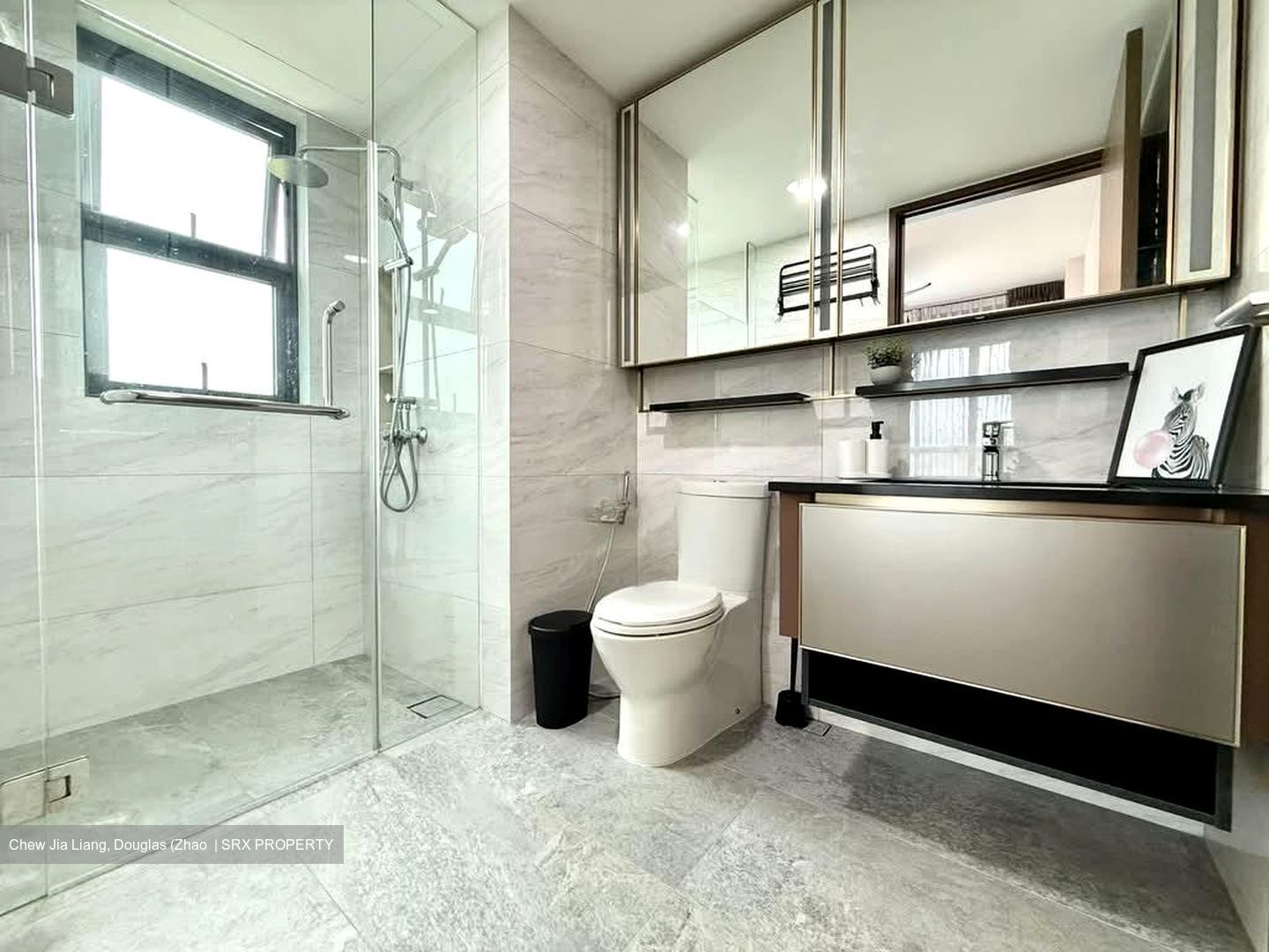 Normanton Park (D5), Apartment #544069811